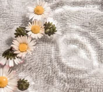 Wellness Resources