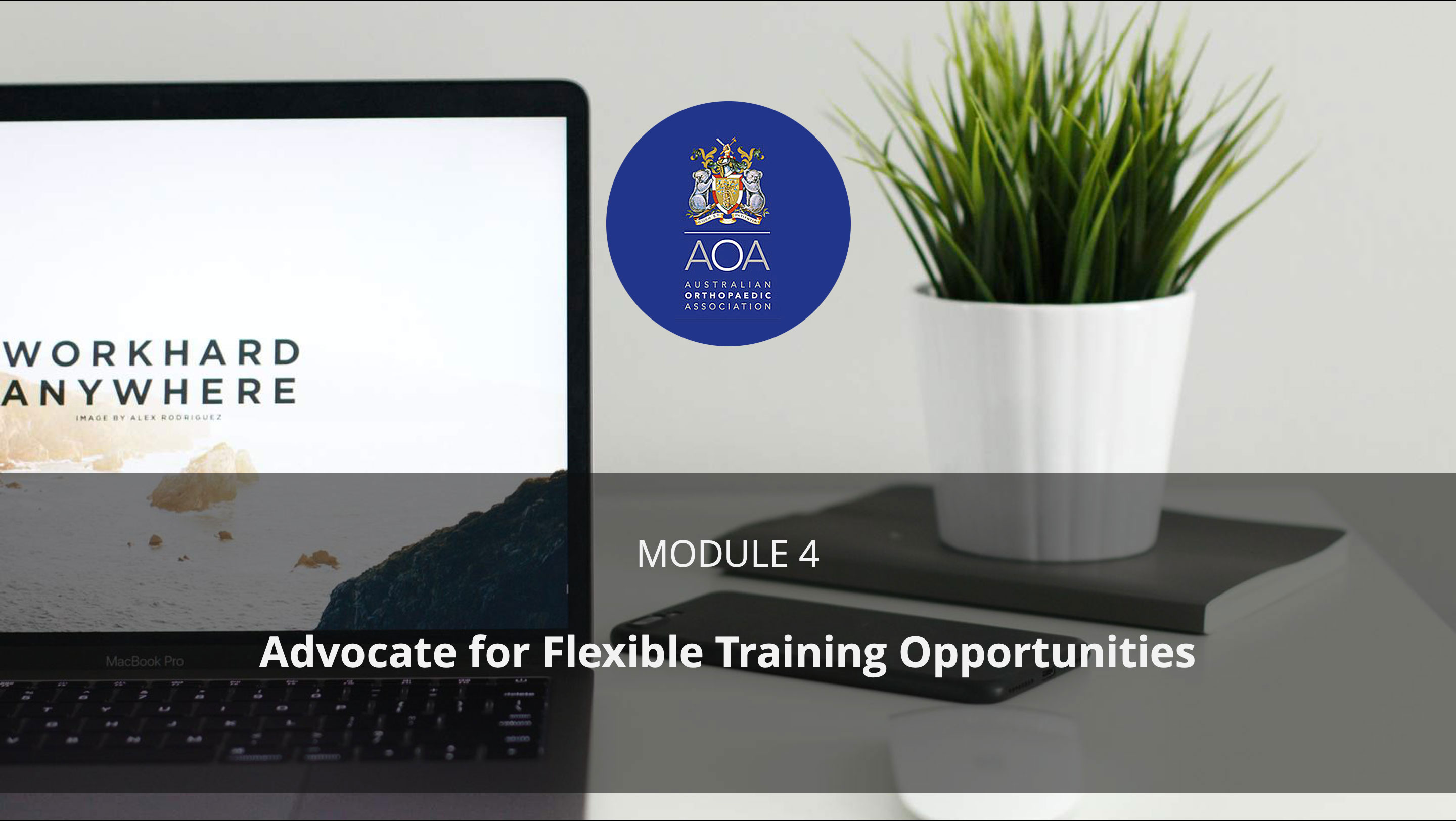 Module 4: Advocate for Flexible Training Opportunities