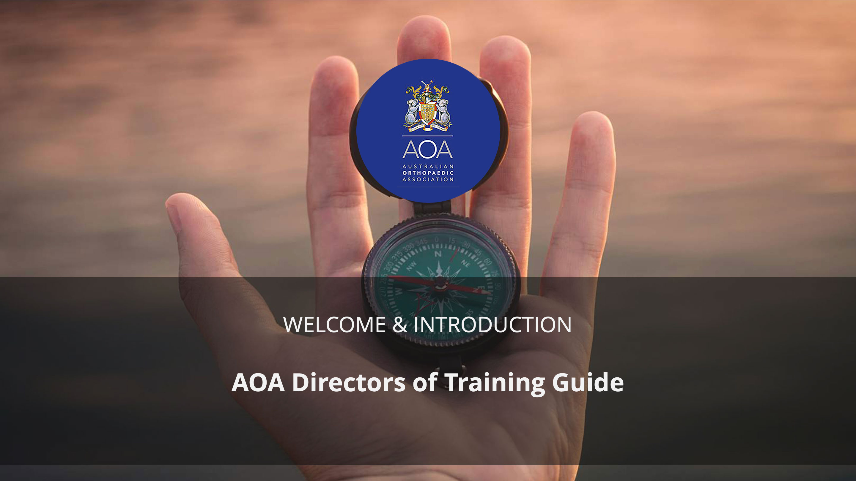 Welcome & Introdution: AOA DoT Guide